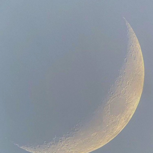 Meet your Posher, Angel - Picture 1 of 1